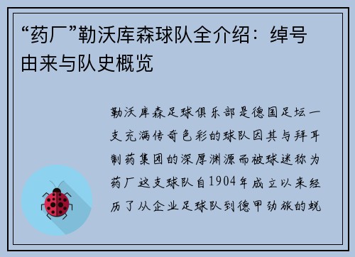 “药厂”勒沃库森球队全介绍：绰号由来与队史概览